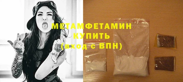 молекула духа Вяземский