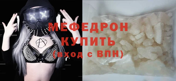 молекула духа Вяземский
