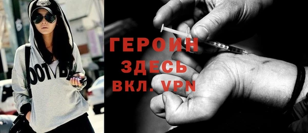 молекула духа Вяземский