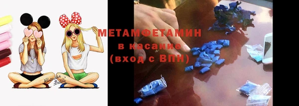 молекула духа Вяземский
