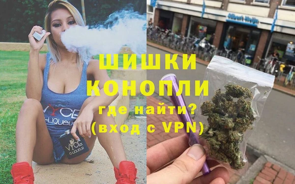 крисы Вязьма