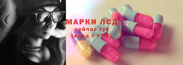 молекула духа Вяземский