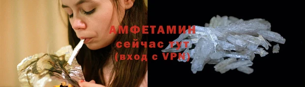 молекула духа Вяземский