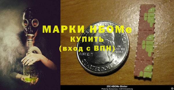 молекула духа Вяземский