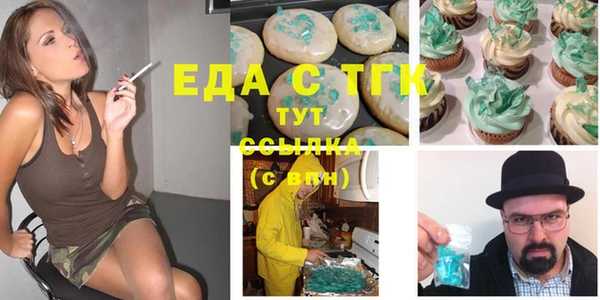 молекула духа Вяземский