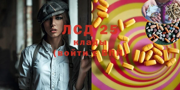 молекула духа Вяземский