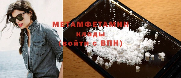 молекула духа Вяземский