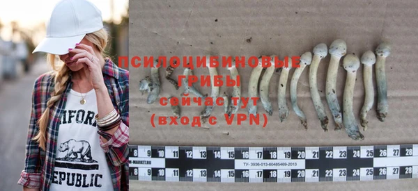 молекула духа Вяземский
