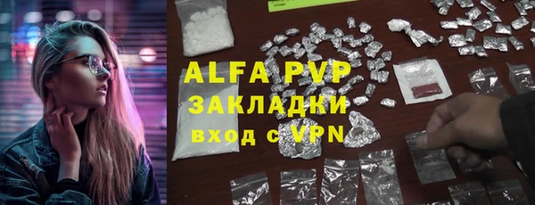 молекула духа Вяземский